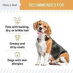 Omega 3 Fish Oil For Dogs - 180 Softgel Capsules For Healthy Skin And Coat - 1000 Mg Dog Fish Oil Pills For Shedding, Dry Itching Skin, And Hot Spots -Zoo Shop 51bRBG58zwL