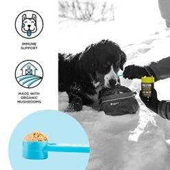 BIXBI Dog Vitamins Supplements Immune Support Daily Cat Supplement, Powder Supplement, 2 Month Supply US -Zoo Shop 51bX8UAsi1L