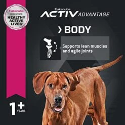 Eukanuba Adult Large Breed Dry Dog Food, 30 Lb -Zoo Shop 51bfdNNgwOL