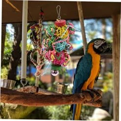 POPETPOP 3pcs Parrot Chew Toy Bird Toys For Parakeets Chewing Toys Bird Toys For Conures Chew Toys Indoor Playset Birds Toys Chewing Toys For Parrots Parakeet Swing Bird Foraging Toys Large -Zoo Shop 51bfuEAo9mL