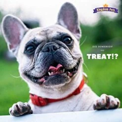 Kingdom Pets Duck Breast Jerky, Premium Treats For Dogs, 40 Oz. Bag -Zoo Shop 51bhP05M5yL