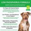 SquarePet VFS Low Phosphorus Formula Dry Dog Food