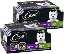 CESAR Soft Wet Dog Food Loaf In Sauce Rotisserie Chicken Flavor With Bacon & Cheese And Filet Mignon Flavor With Bacon & Potato Variety Pack, (24) 3.5 Oz. Easy Peel Trays -Zoo Shop 51c5wuLlCRL. AC 1
