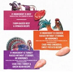 Purina Beyond Gravy, Beef, Chicken Or Turkey In Gravy Ground Entree Grain Free Wet Dog Food Variety Pack -Zoo Shop 51cFVOsFcwL