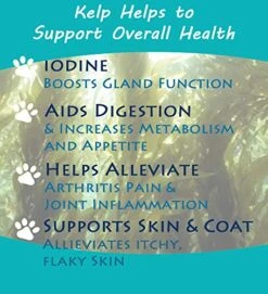 Icelandic Kelp Meal, 5lbs -Zoo Shop 51cSXVxTb9L