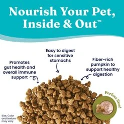 Solid Gold Sensitive Stomach Dry Cat Food - Made With Real Quail & Pumpkin - Winged Tiger Grain Free Cat Food Sensitive Stomach For Adult & Senior Cats - Supports Immune & Digestive Health - 6lb -Zoo Shop 51cUlQjeU2L