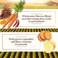 Whole Earth Farms Grain Free Recipe Dry Dog Food, Pork, Beef & Lamb, 4-Pound -Zoo Shop 51cb25wP1vS 1