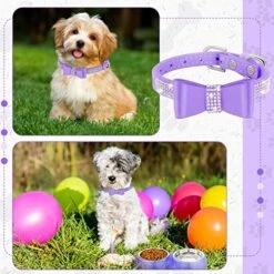 Gerrii 2 Pcs Pink Dog Cat Bowls And Small Puppy Collar Set For Cat And Dog, Pink Bling Cat Collars Rhinestones Stainless Steel Puppy Bowls Adjustable Bling Dog Collar (Light Purple, XS) 11 Gerrii 2 Pcs Pink Dog Cat Bowls And Small Puppy Collar Set For Cat And Dog, Pink Bling Cat Collars Rhinestones Stainless Steel Puppy Bowls Adjustable Bling Dog Collar (Light Purple, XS) -Zoo Shop 51coJmvCM6L