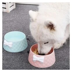 Pet Dog Food Bowls Lovely Bowknot Puppy Feeder Dish Bowl Diamond Pattern Bow Cat Bowl For Water Sweet Princess Pet Feeding Bowls (Color : Blue) -Zoo Shop 51czUGO8nZL