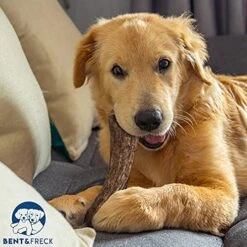 Antler Dog Chew From Pet Expertise, Gigantic 12-14" Long, 1 Piece 17 Antler Dog Chew From Pet Expertise, Gigantic 12-14" Long, 1 Piece -Zoo Shop 51dBIqGJdrS