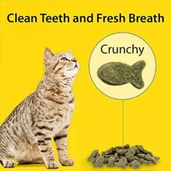 Emerald Pet 6 Pack Feline Dental Treats, 3 Ounces Each, Grain-Free Cat Treats Made In The USA (6 Pack Turducky) 13 Emerald Pet 6 Pack Feline Dental Treats, 3 Ounces Each, Grain-Free Cat Treats Made In The USA (6 Pack Turducky) -Zoo Shop 51dCwQ4DOmL