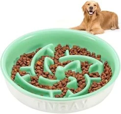 Tivray Slow Feeder Dog Bowls Large Breed, 3 Cups Dog Bowl Slow Feeder Ceramic Dog Slow Feeder Bowl, Puzzle Dog Food Bowls Slow Feeder Bowl For Fast Eaters, Slow Eating Dog Bowl For Medium Large Dogs -Zoo Shop 51dDx rtLL. AC