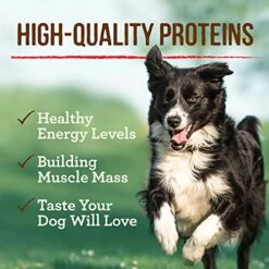 Merrick Grain Free Wet Dog Food Real Texas Beef Recipe - 12.7 Ounce (Pack Of 12) -Zoo Shop 51dLgSBUfeS 2