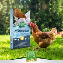 Small Pet Select - 100% Flaked Oyster Shell, Calcium Supplement For Chickens, And Ducks, 5lb -Zoo Shop 51de2bd9dgL