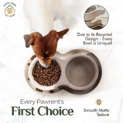 Dog Bowls For Medium Sized Dog - Bamboo Fiber Dog Food Bowls For Small Sized Dogs With Drip Catch Rim, Non-Slip Silicon Pads, 4 Cups, Food And Water Bowls For Dogs And Cat Bowl -Zoo Shop 51dkqaIdoyL