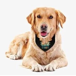 GENERIC Xolo Pattern Dog Bandana,Dog Bandanas Triangle Bibs Scarf Accessories Minimal Head Cicumference 10 GENERIC Xolo Pattern Dog Bandana,Dog Bandanas Triangle Bibs Scarf Accessories Minimal Head Cicumference -Zoo Shop 51dlOUr5YjL