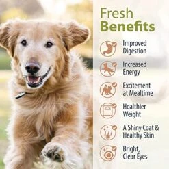 JustFoodForDogs Pantry Fresh Dog Food, Human Grade Beef, Chicken, Variety Pack (4 Pack) 17 JustFoodForDogs Pantry Fresh Dog Food, Human Grade Beef, Chicken, Variety Pack (4 Pack) -Zoo Shop 51dse3CPGUL 1
