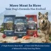 Blue Buffalo Wilderness Rocky Mountain Recipe High Protein Natural Adult Dry Dog Food, Red Meat With Grain 13 Lb Bag -Zoo Shop 51dxyUv4AsL 6