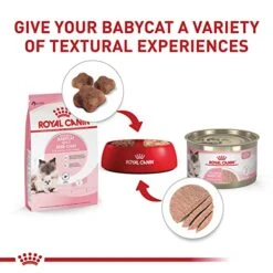 Royal Canin Feline Health Nutrition Mother & Babycat Dry Cat Food For Newborn Kittens And Pregnant Or Nursing Cats, 6 Lb Bag -Zoo Shop 51e2pQVsTzL