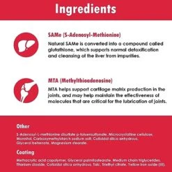 Zoo Shop -Zoo Shop 51e74UewoRL