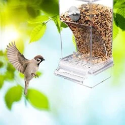 HYVET Automatic Feeders， Bird Feeders Automatic Parrot Feeder Drinker Acrylic Seed Food Container Cage Accessories For Small And Medium Parakeets -Zoo Shop 51e9pZt5AlL