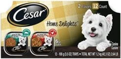 CESAR Adult Soft Wet Dog Food Filets In Gravy Variety Pack, Filet Mignon And New York Strip Flavors, 3.5 Oz. - 12 Trays (1-Pack) -Zoo Shop 51eMjV57WlL. AC