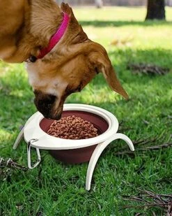 Collapsible Dog Bowl With Stand, Portable Foldable Food Dishes With Carabiner Clip, Pet Bowl With A Support, Travel Dog Cat Water Bowl (Pink) 16 Collapsible Dog Bowl With Stand, Portable Foldable Food Dishes With Carabiner Clip, Pet Bowl With A Support, Travel Dog Cat Water Bowl (Pink) -Zoo Shop 51edcpWpitL