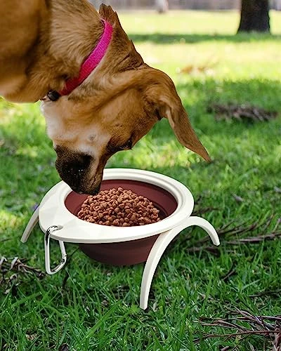 Collapsible Dog Bowl With Stand, Portable Foldable Food Dishes With Carabiner Clip, Pet Bowl With A Support, Travel Dog Cat Water Bowl (Pink) 7 Collapsible Dog Bowl With Stand, Portable Foldable Food Dishes With Carabiner Clip, Pet Bowl With A Support, Travel Dog Cat Water Bowl (Pink) - Image 5