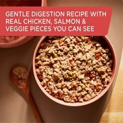 Rachael Ray Nutrish Gentle Digestion Wet Dog Food, Real Chicken, Pumpkin & Salmon, 13 Ounce Can (Pack Of 12) -Zoo Shop 51egj1q39tL