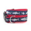 The Worthy Dog Jaws Shark Pattern Stylish & Durable Nylon Dog Collars, Adjustable Strong Buckle, Blue, S -Zoo Shop 51ei35kgDvL