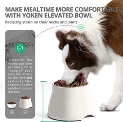 Yoken Sturdy Elevated Dog Bowls 2 Packs, [Prevention Of Vertebrae Disease] [2X Non-Slip] Dog Food Bowls With Stainless Steel Bowl, High Capacity Water Bowl Colorful Raised Bowl For Medium Small Dogs -Zoo Shop 51ekN3fbufL