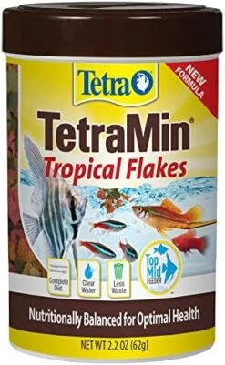 TetraMin Nutritionally Balanced Tropical Flake Food For Tropical Fish 24 TetraMin Nutritionally Balanced Tropical Flake Food For Tropical Fish -Zoo Shop 51es84DXgqL. AC