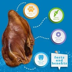 Jack&Pup Whole Pig Ears For Dogs - Extra Thick Large Pigs Ears - Premium Dog Pig Ear Treats - Natural Dog Pork Chews; Excellent Rawhide Alternative (10 Pack) -Zoo Shop 51esq1SioQL