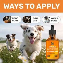 Natural Antibiotics Alternative For Dogs | Dog Antibiotics | Supports Dog Allergy Relief | Dog Itch Relief | Dog Allergy Support | Dog Multivitamin | Pet Antibiotics | Dog Antibiotics | 60 Ml -Zoo Shop 51f3sQdhf4L
