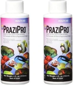Hikari Usa AHK73254 Prazipro For Aquarium, 4-Ounce 9 Hikari Usa AHK73254 Prazipro For Aquarium, 4-Ounce -Zoo Shop 51fKH5ZuPdL. AC