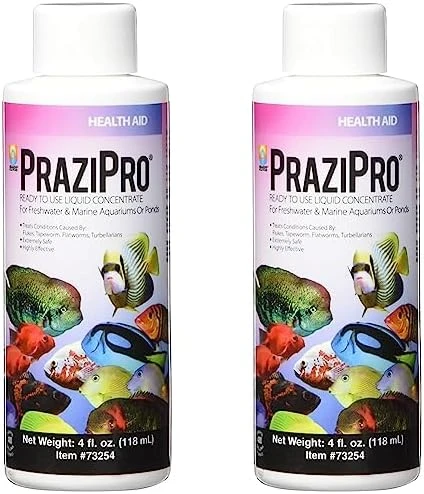 Hikari Usa AHK73254 Prazipro For Aquarium, 4-Ounce 5 Hikari Usa AHK73254 Prazipro For Aquarium, 4-Ounce - Image 3