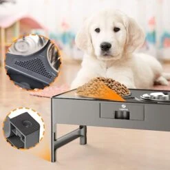 Lapensa Elevated Dog Bowls, Stainless Steel Raised Dog Bowl With Adjustable Stand, Double Dog Food And Water Bowl For Small Medium Large Dogs Grey -Zoo Shop 51fKgEkdtiL