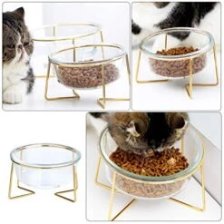ULTECHNOVO Ceramic Cat Bowl Tilted Cat Feeding Bowls High Base - Tilted Raised Cat Bowl Glass Pet Ceramic Cat Bowls -Zoo Shop 51fObxz9ryL