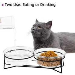 Double Glass Raised Cat Or Small Dog Bowls With Metal Stand For Pet Food And Water Dishes , 20 Ounces -Zoo Shop 51fl7CBgseL
