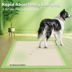 MIZOK Bamboo Dog Pads Odor Eliminating 36x36in XXXL Dog Training Pads, 11 Cups Super Absorbent Leak-Proof Dog Pee Pads With Adhesive Tabs, Disposable Green Color (30 Counts) -Zoo Shop 51fuq0CixbL