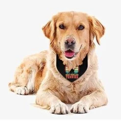 GENERIC I-Love-My-west-Highland-Terrier Pet Bandana Collar - Scarf Collar - Art Dog Bandana Minimal Head Cicumference 10 GENERIC I-Love-My-west-Highland-Terrier Pet Bandana Collar - Scarf Collar - Art Dog Bandana Minimal Head Cicumference -Zoo Shop 51fuz1mJH5L