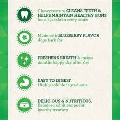 GREENIES Petite Natural Dog Dental Care Chews Oral Health Dog Treats Blueberry Flavor, 12 Oz. Pack (20 Treats) -Zoo Shop 51g8ebjEBSL