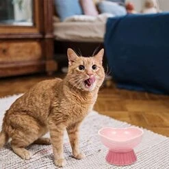 POPETPOP Food Containers Food Containers Plates Ceramic Raised Cat Food Ceramic Tilted Pet Feeder Waterer Porcelain Pet Dish With Stand For Cats Dogs Feeding Dog Food Container Dog Food Container -Zoo Shop 51g9f6dLhZL