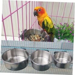 GARVALON 3pcs Stainless Steel Drinking Glasses Pet Water Bowl Macaw Cage Parrot Drinking Bowls Bird Feeding Dish Bird Water Dispenser Bird Water Holder Chinchilla Food Bowl Parrot Supplies -Zoo Shop 51gEEHib4BL