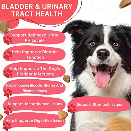 Cranberry For Dogs UTI Treatment - Urinary Tract, Bladder & Kidney Health Supplement. With Astragalus, D-Mannose, Supports UT Incontinence, Bladder Infections & Stones, Digestive Issues, 120 Chews 6 Cranberry For Dogs UTI Treatment - Urinary Tract, Bladder & Kidney Health Supplement. With Astragalus, D-Mannose, Supports UT Incontinence, Bladder Infections & Stones, Digestive Issues, 120 Chews - Image 4