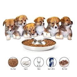 Thankspaw Stainless Steel Puppy Bowls, Set Of 2 Puppy Feeder, Dog Food And Water Bowl, Food Feeding Weaning For Small Medium Large Dogs, Pets, M 14 Thankspaw Stainless Steel Puppy Bowls, Set Of 2 Puppy Feeder, Dog Food And Water Bowl, Food Feeding Weaning For Small Medium Large Dogs, Pets, M -Zoo Shop 51gMlpk2CHS