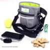 Paw Lifestyles Dog Treat Training Pouch + Heavy Duty Dog Leash Bundle -Zoo Shop 51gdLIFN7vL