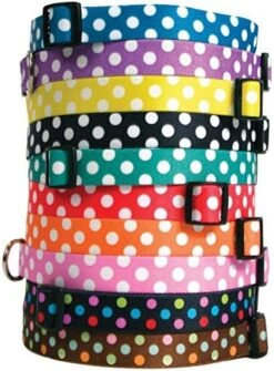 Yellow Dog Design Licorice Polka Dot Dog Collar 1" Wide And Fits Neck 18 To 28", Large -Zoo Shop 51geeyuXKcL. AC