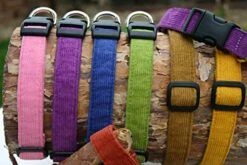 Hemp Corduroy Dog Collar - No Pattern (3/4" Medium, Avocado) -Zoo Shop 51gf9YI1lKL