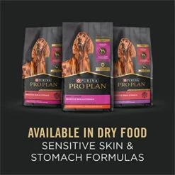 Purina Pro Plan Sensitive Skin And Stomach Wet Dog Food Pate Sensitive Skin And Stomach Beef And Oat Meal Entree - (12) 13 Oz. Cans -Zoo Shop 51gqmx0MNeL